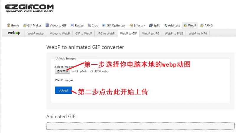 【亲测可用】如何将webp格式动图转换为GIF格式图片！-图片6